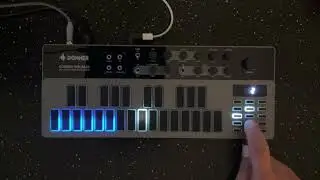 Donner B-1 Analog Bass Synthesizer // Audio Demo (No Talking)