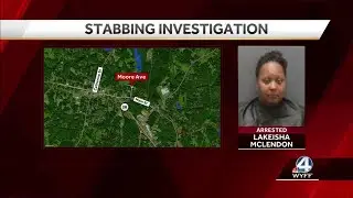 Woman arrested in deadly Walhalla stabbing, police say