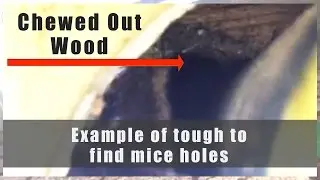 Burlington Mice Removal Steps To Inspecting Points of Entry