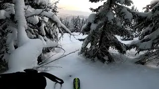 Treerun @Trysil, JipCAM