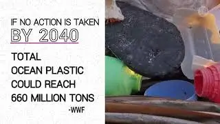 WWF PLASTIC STUDY
