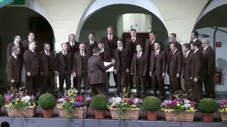 MGV Amlach   -  da M&ouml;ll entlang