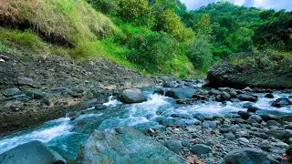 Powerful River Flow in Nature | Soothing Water Sounds for Deep Focus, Relax, Stress, Anxiety Relief