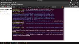 Ubuntu Chrome extension location Linux