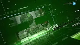 LIVE STREAMING HERBATES JAWA POS TV BALI