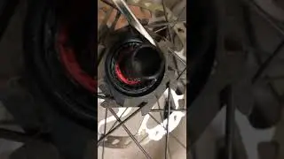 Giant TRX (DT Swiss) 3 pawl free hub failure