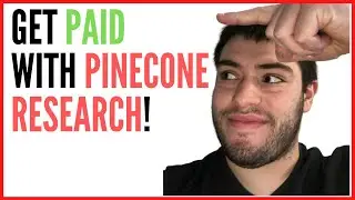 Pinecone Research- Make LOTS of Money Online With Paid Surveys From Pinecone Research!