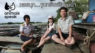 Animals Speak [by Mahidol] หอยมุก...ขุมทรัพย์ริมแม่น้ำ