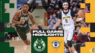 Fort Wayne Mad Ants vs. Wisconsin Herd - Game Highlights