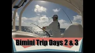 Bimini Day 2 & 3