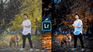 Lightroom blue and brown effect photo editing tutorial | lightroom background colour change preset