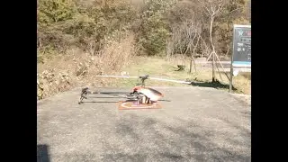 RC heli  onboard cam, Century Heli Swift