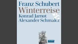 Winterreise, Op. 89, D. 911: No. 4. Erstarrung