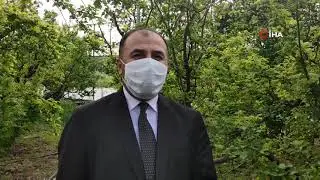CAN ERİĞİNİN KİLOSU 60 LİRAYA DÜŞTÜ