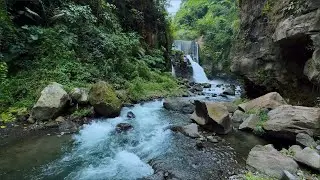 Relaxing Green Stream Flow with Forest Nature Ambience for Deep Focus, Sleep and Meditation