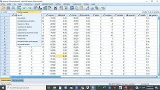 Chi cuadrado SPSS capas