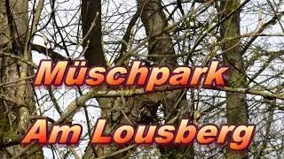 Der M&uuml;schpark / Aachen