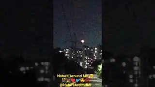 Beautiful 😍❤️ full moon 🌕🌝 #garden #shorsfeed #yt