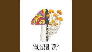 Psychedelic Trip