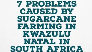 7 PROBLEMS CAUSED BY SUGARCANE FARMING IN KWAZULU NATAL IN SOUTH AFRICA