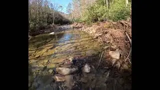 Trail damage on Lost cove trail. #chiefsholsters #hiking #wncstrong #wnc #lostcove #dayhike