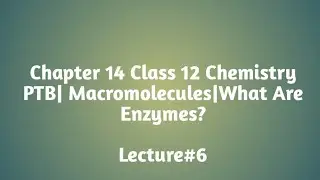 Chapter 14 Class 12 Chemistry PTB| Macromolecules| What Are Enzymes?