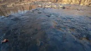 A DAY AND TIME  WITH  NATURE!(SHOT WITH DJI OSMO ACTION 6 PRO CAMERA)