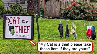 Signs In The Wild, Hilariously Chaotic, Begging To Be Shared
