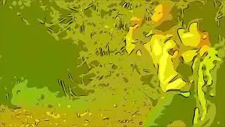 Editing With The Comic Book Effect