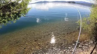 STALKING Trout - River Mouth Fisherman tries out Lake Fishing