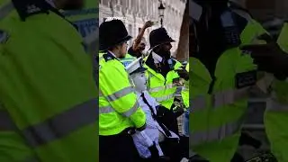 UK police arrest disabled protester opposing Palestine action ban