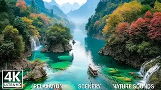 Deep Relaxing Music 🌿 Stop Overthinking, Stress Relief & Gentle Calming Music