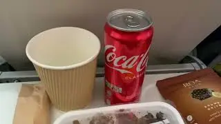 Fly Scoot Airlines Experience