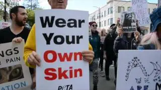 VICTORY: The city of Berkeley just banned the sale of fur.