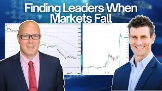 Рынки падают, но эти лидеры импульса ASX растут | Сигналы стартовой площадки
