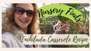 Easy Chicken Enchilada Casserole | Pantry Challenge 2023