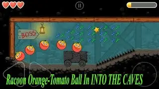 Racoon Orange-Tomato Ball in INTO THE CAVES walkthrough....