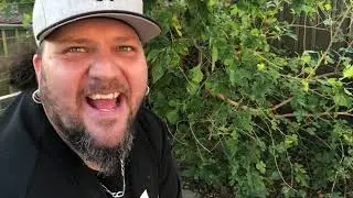Backyard Feeds S01E02 - Wattleseed Damper