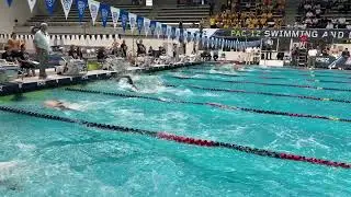 Hubi Kos 100y Back 44.03 PAC 12 RECORD Prelims PAC 12