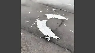 Biscotti in the Air (Extended Version)