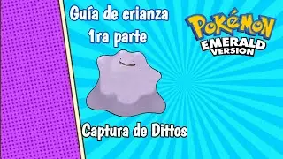 Guía de crianza en Pokémon esmeralda parte 1, Captura de Dittos.
