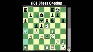 A01 Nimzovich-Larsen Openings || Wrobel, Dieter - Arnold, Ulrich @chessbuddies 🔴 #ChessOpenings