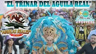 COMPARSA AGUILAS REALES 