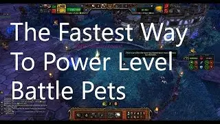 Power Leveling Pets using Squirt