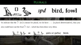 Sixth Lesson Middle Egyptian: Plurals, Nouns, Prepositions & Adjectives