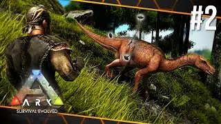 Taming My First Dinosaurs! | ARK: Survival Evolved - The Island #2