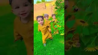 Raeeskhan #pathan #varil #100kviews