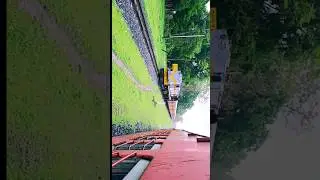 Metre gauge Train | veraval To sasan Gir | meter gauge train | Last metre gauge train or India