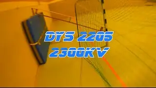Dys 2205 2300kV Racing Edition