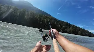 They&rsquo;re HERE! Pink Salmon in Squamish + Wild Trout Fishing at Brohm Lake